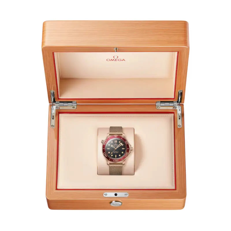 Relógio Seamaster Diver 300M 42mm